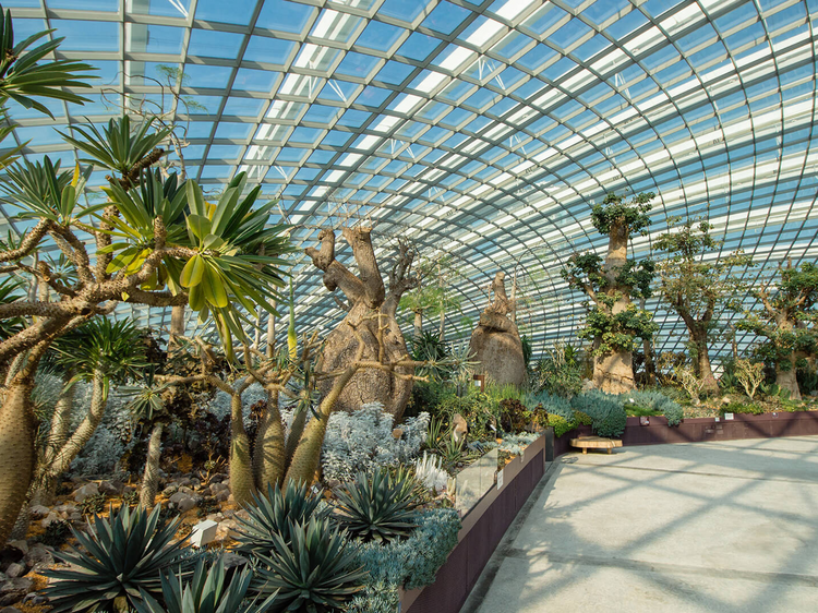 The best things to do in Singapore this week (January 12-18)