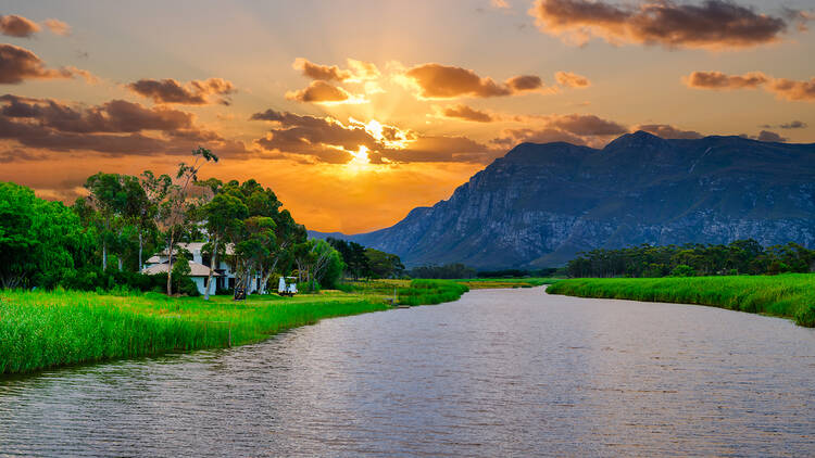 Lady Stanford River Cruises