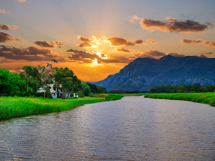 Lady Stanford River Cruises