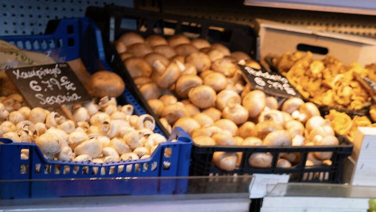 Marina Larrègola Marina Larrègola