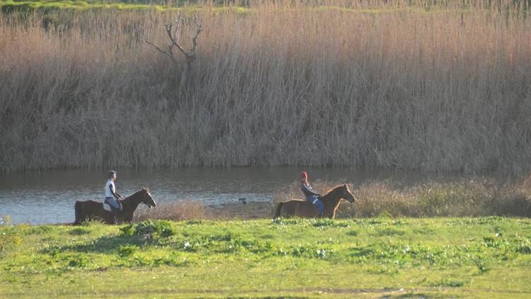 Oude Molen Eco Village