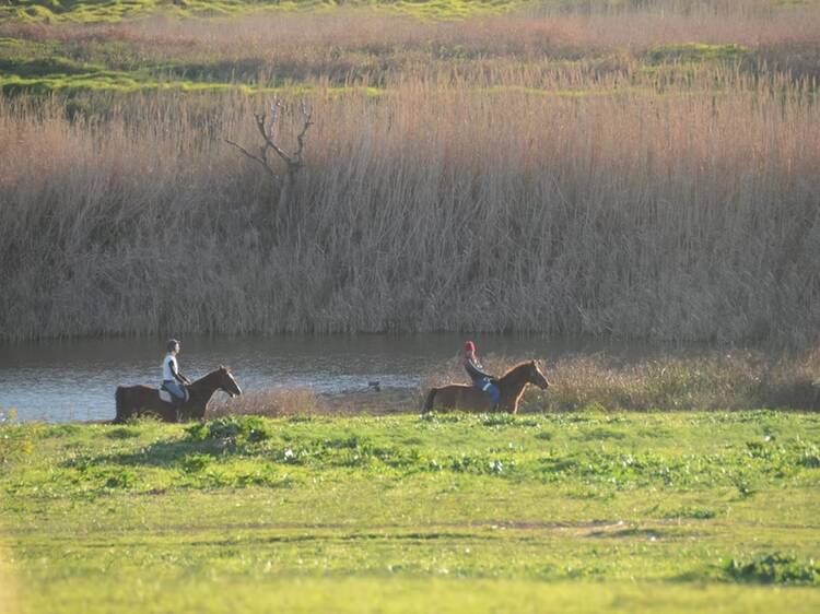 Oude Molen Eco Village