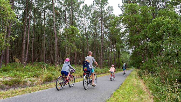 A family cycle through a forest near Moliets-et-Maa