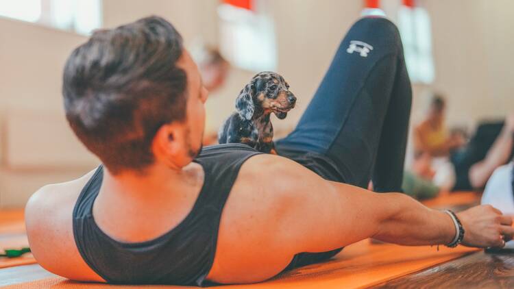 And they call it puppy love