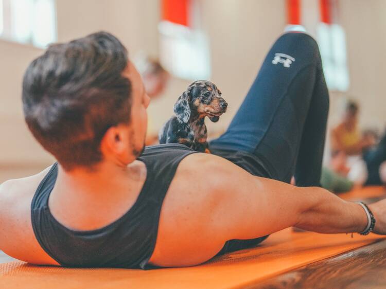 And they call it puppy love