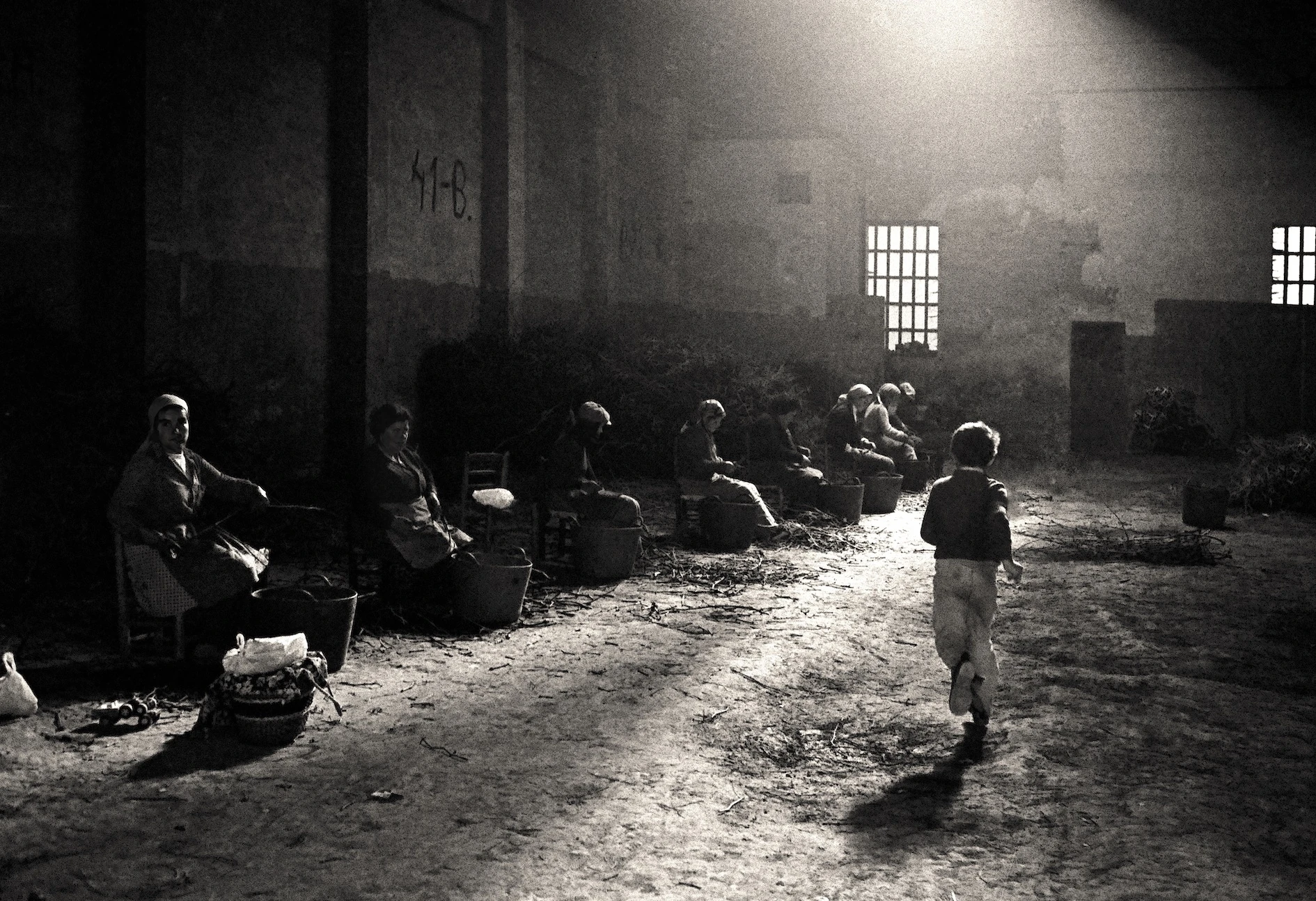 Sigfrid Casals, 'El plaer de mirar' 