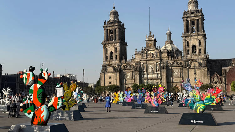 Nopalera en el Corazón: exposición gratis