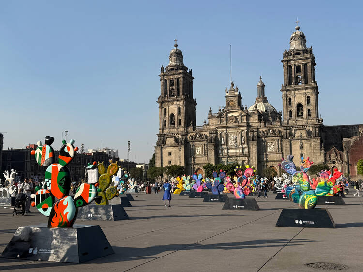 Nopalera en el Corazón: exposición gratis