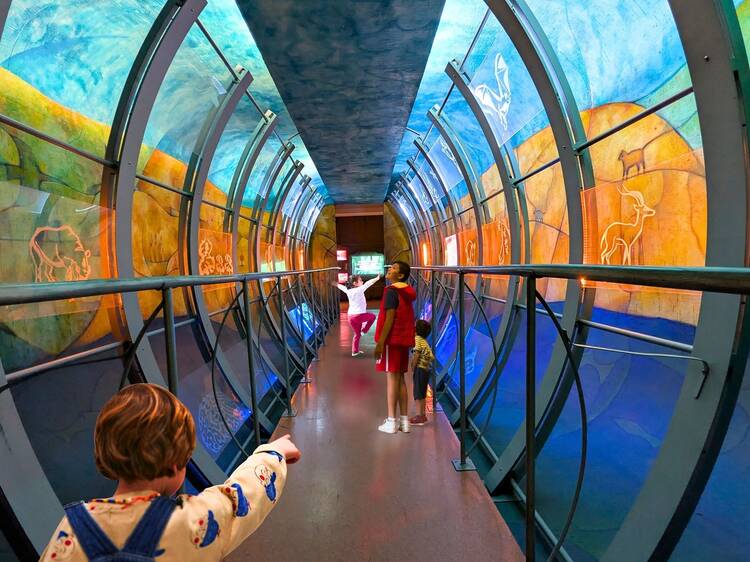 13 museos para niños en la Ciudad de México