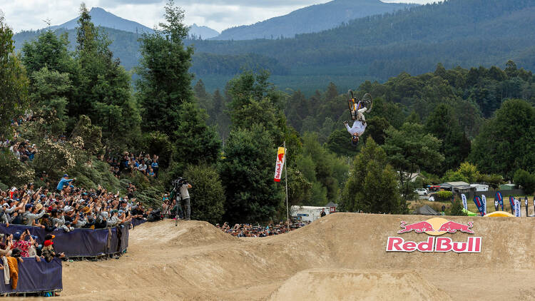 Matt Jones backflips at Red Bull Hardline in Maydena Bike Park, 2025