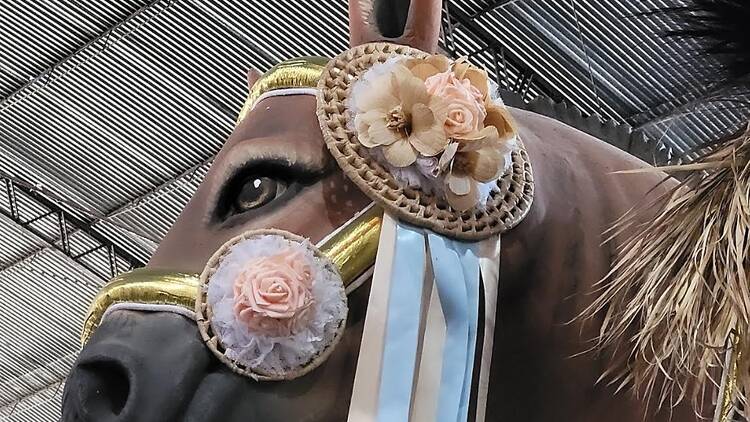 Acadêmicos de Niterói