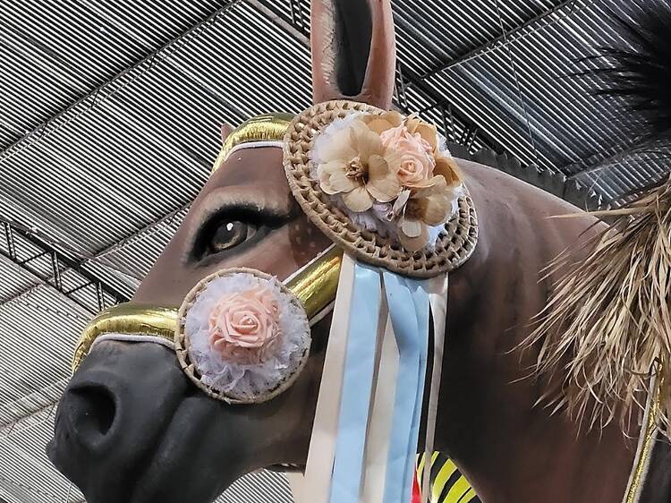 Acadêmicos de Niterói