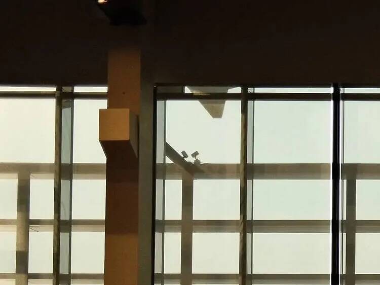 Take advantage of public libraries