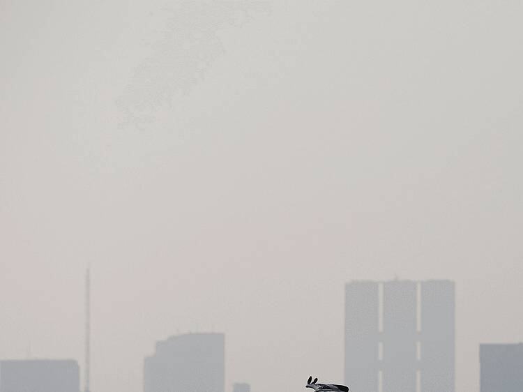 Navigate the capital by air quality