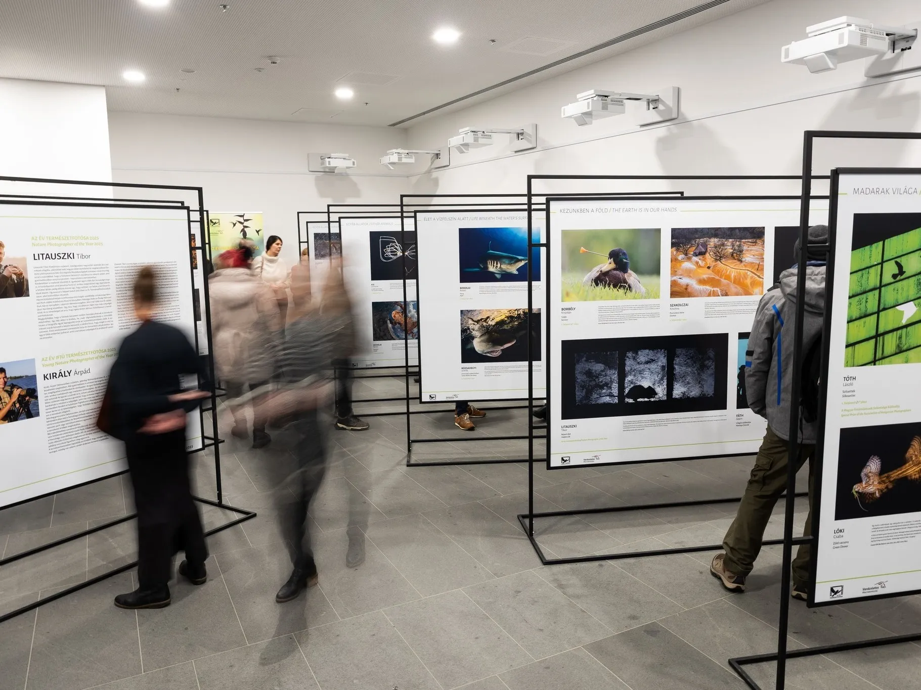 Liget Budapest Az &eacute;v term&eacute;szetfot&oacute;sa ki&aacute;ll&iacute;t&aacute;s a V&aacute;rosligeti L&aacute;togat&oacute;k&ouml;zpontban