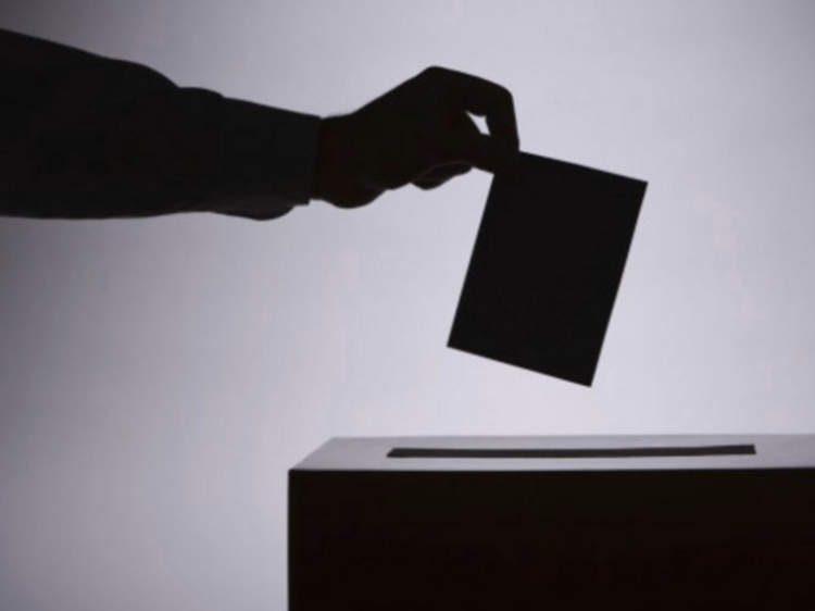 De autocarros de longo curso a TVDE, empresas lançam descontos para ir votar no domingo