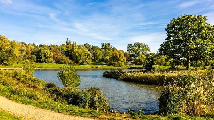 Hampstead Heath, London