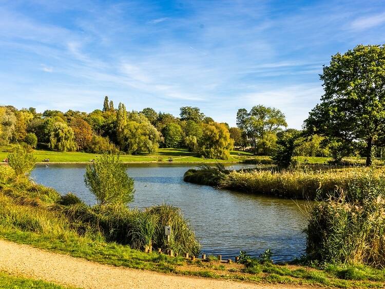 Hampstead Heath could get new saunas, a padel court and 11 new ponds