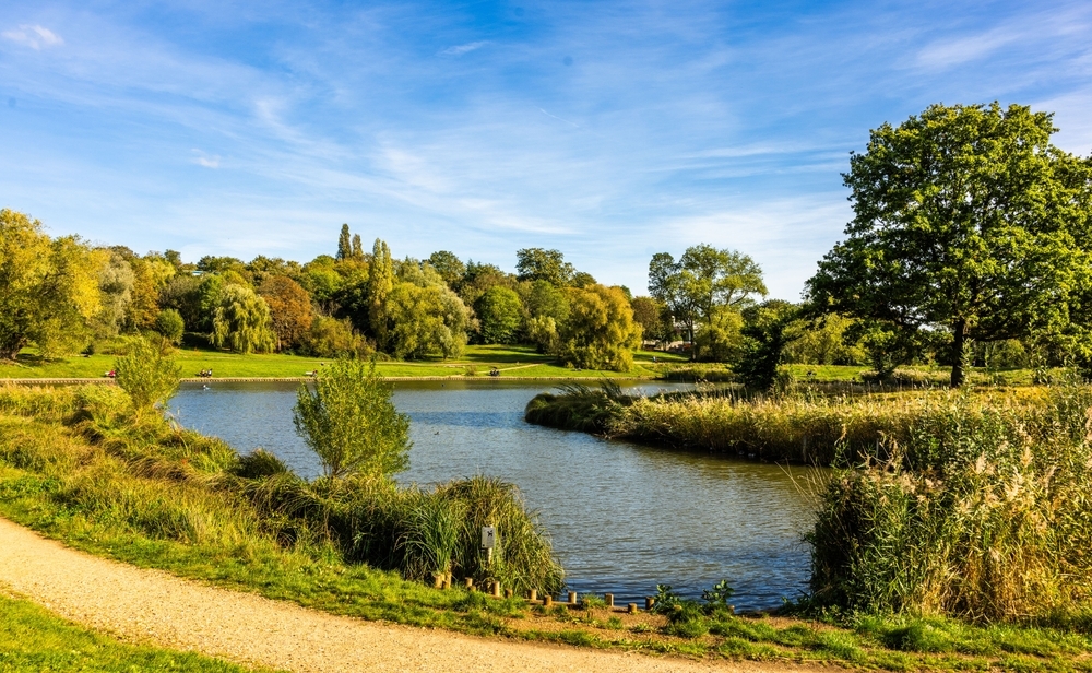 Hampstead Heath could get new saunas, a padel court and 11 new ponds