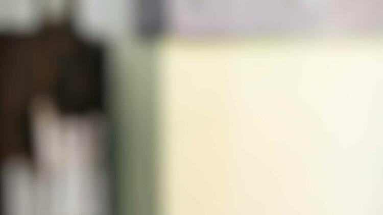 カープ 東京支店