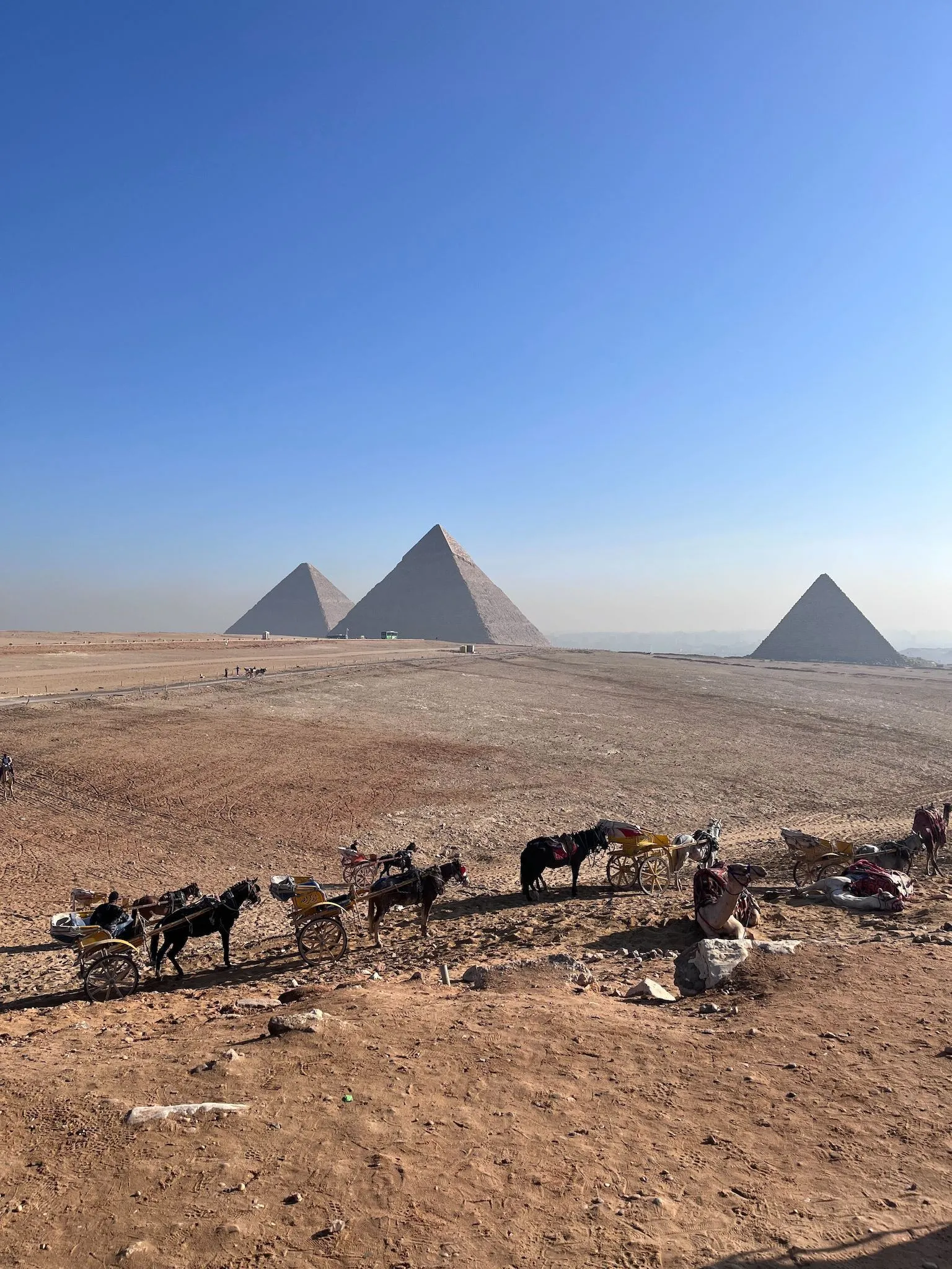 The Egyptian Pyramids