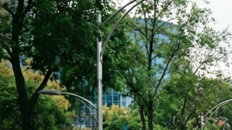 Carrera Dragon Ball CDMX