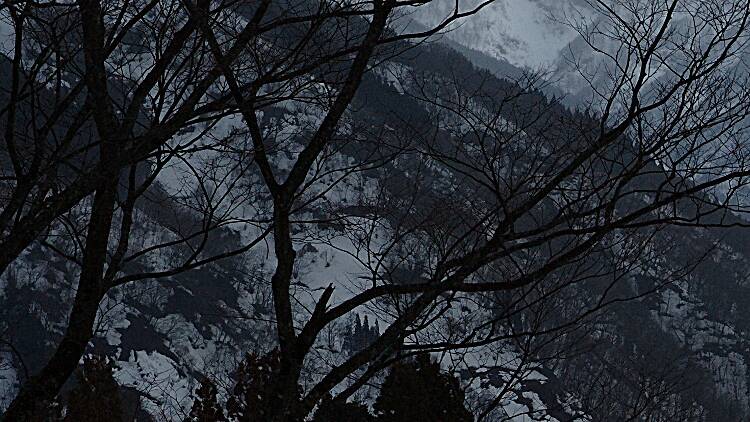 Toyama: Gokayama Gassho-zukuri Village Illumination