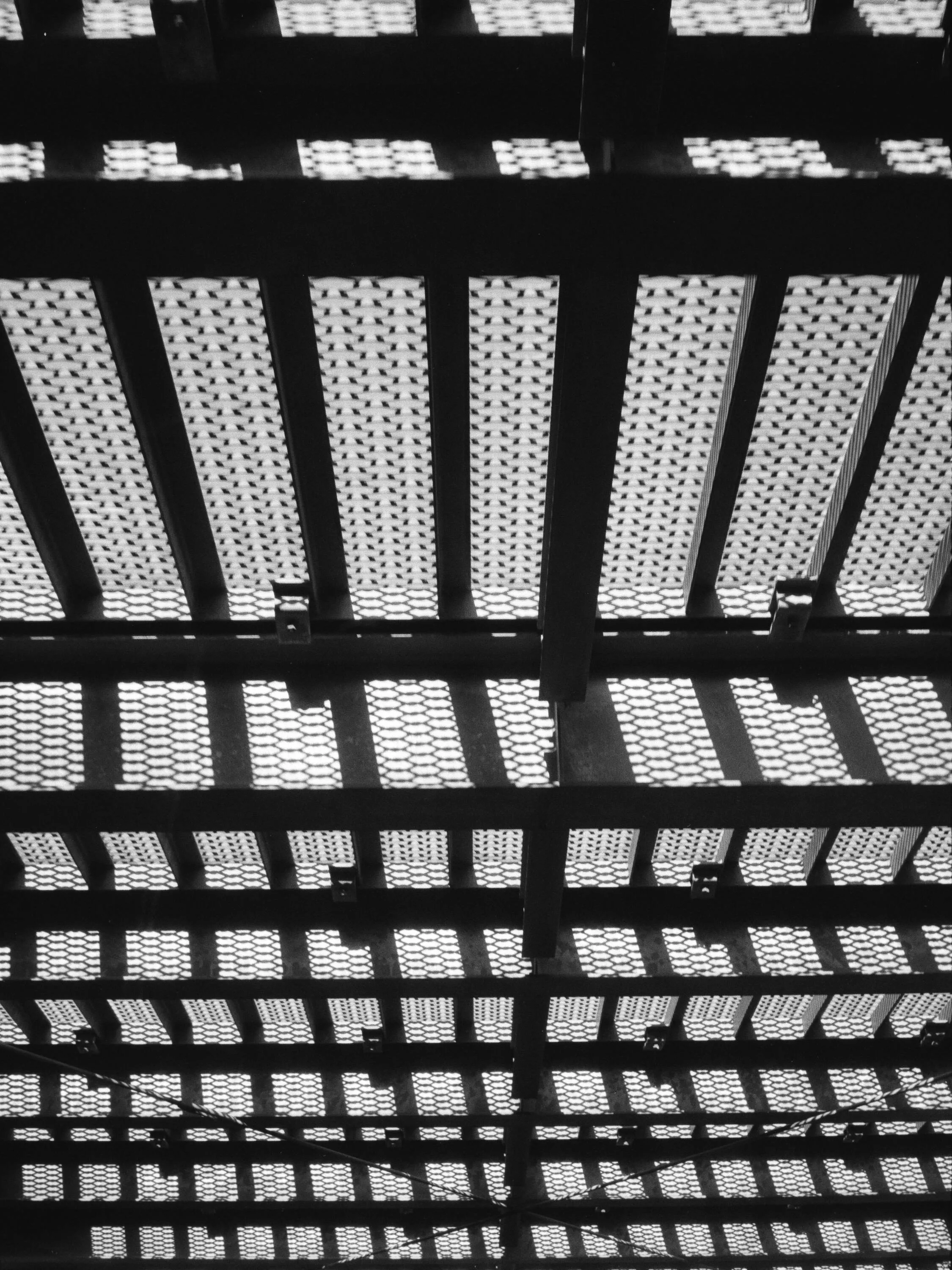 フィルムカメラ