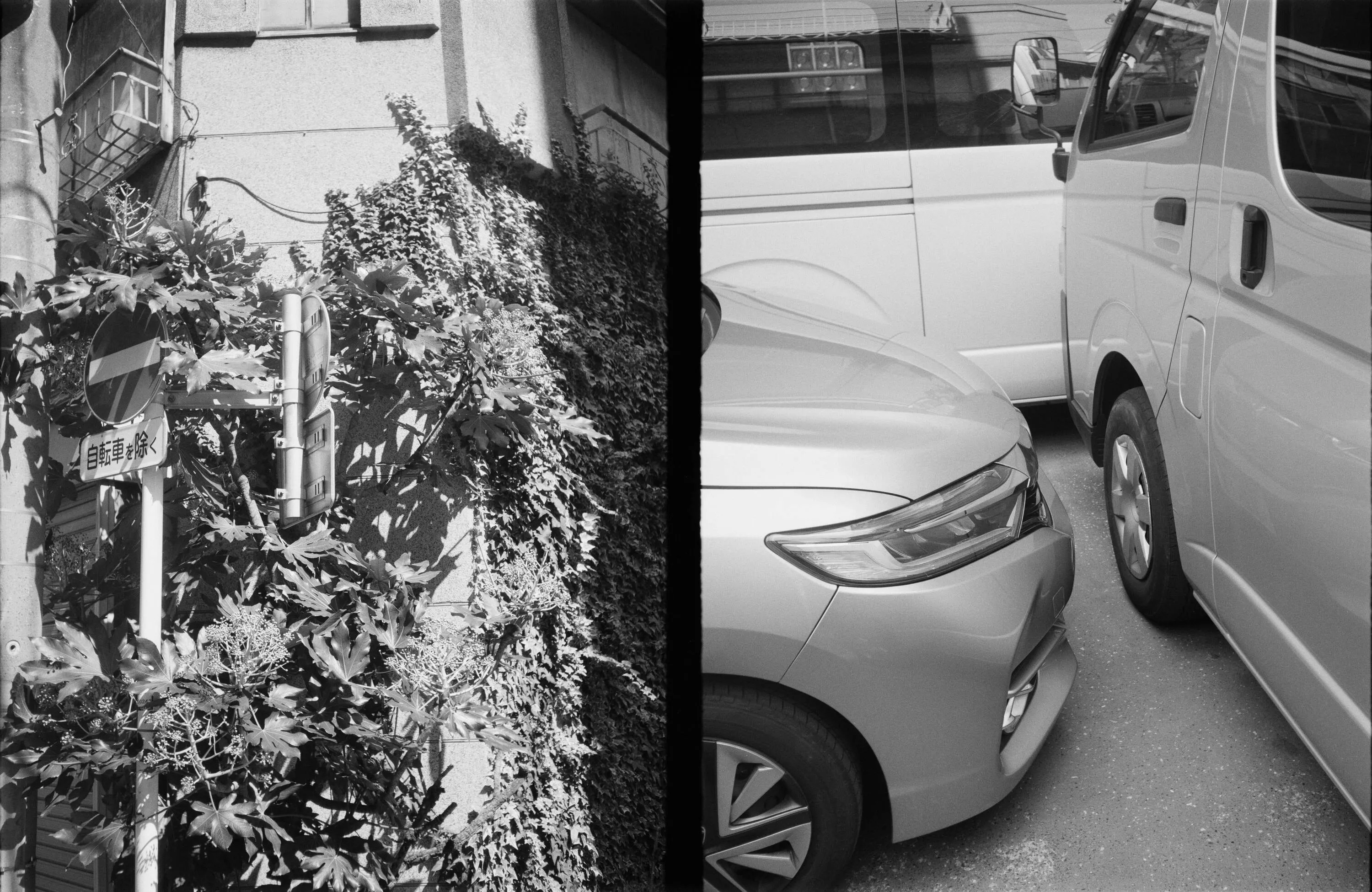 フィルムカメラ