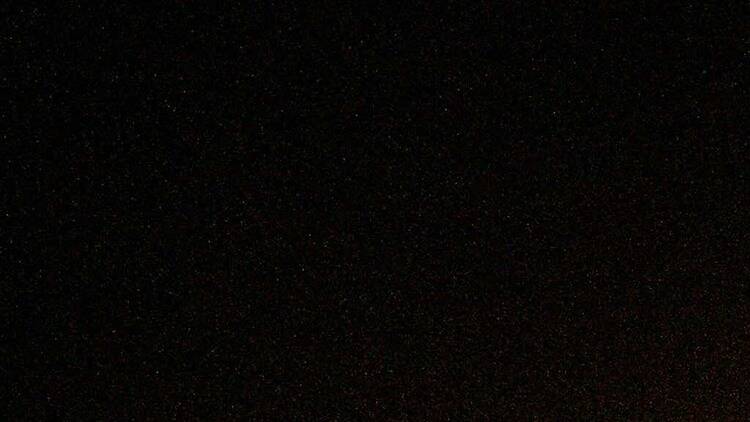 香港一月好去處活動推介2026