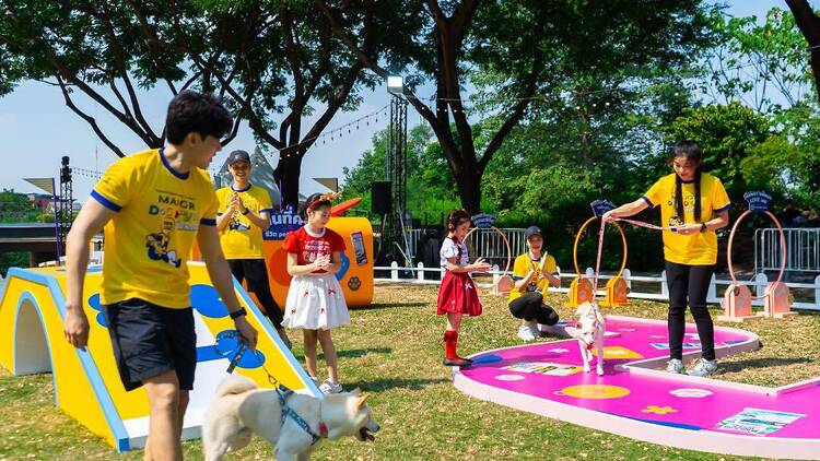 พาลูกรักขนฟูไปแคมป์ปิ้งกลางกรุง วิ่ง Fun Run กระทบไหล่จุ๊มเหม่ง และเช็กสุขภาพฟรีที่อุทยาน 100 ปี จุฬาฯ