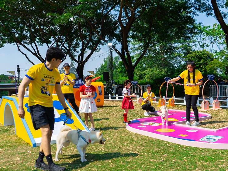 พาลูกรักขนฟูไปแคมป์ปิ้งกลางกรุง วิ่ง Fun Run กระทบไหล่จุ๊มเหม่ง และเช็กสุขภาพฟรีที่อุทยาน 100 ปี จุฬาฯ