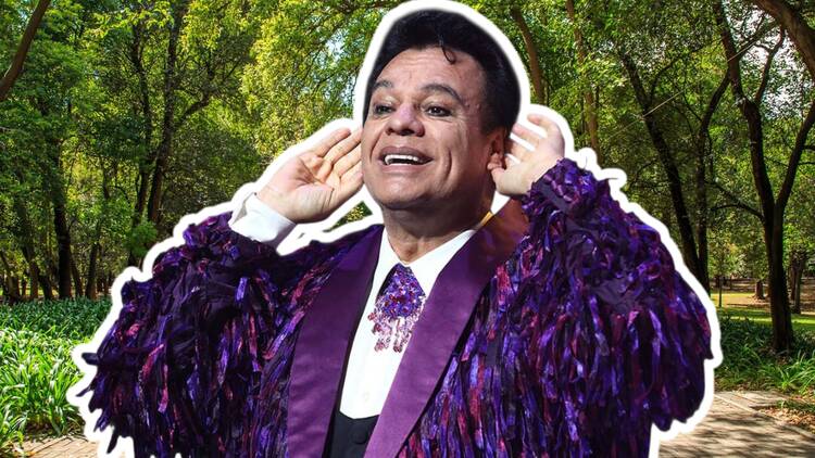 Éxitos de Juan Gabriel, José José, Joan Sebastian, y más