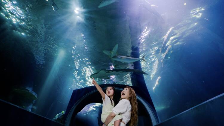 Sea Life Melbourne Aquarium