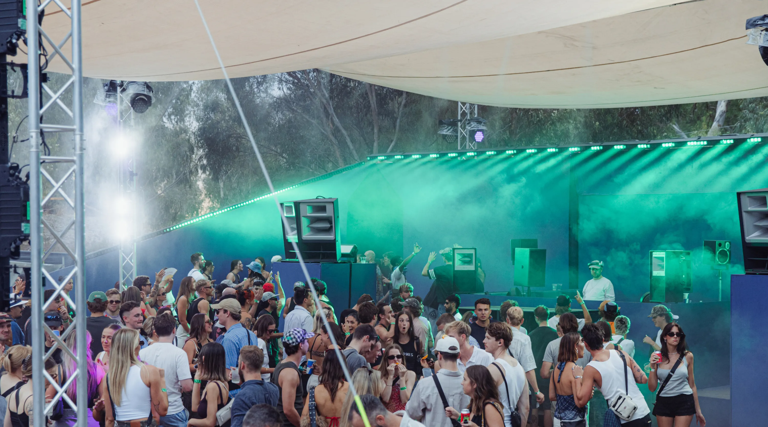 Crowd at outdoor music festival