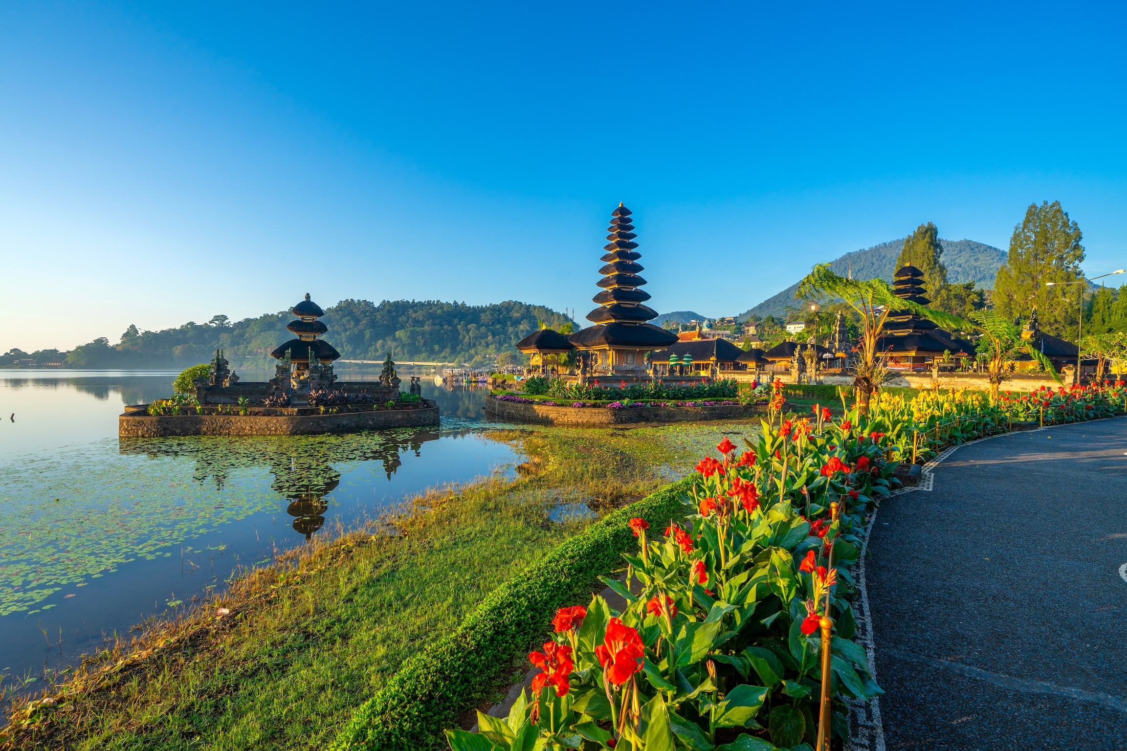 Bali may soon require tourists to show proof of funds before entry