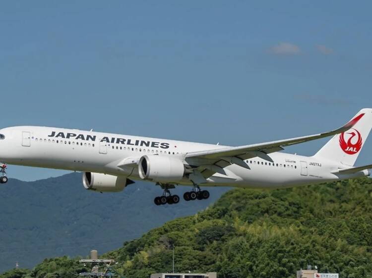 世界最高のエコノミークラス座席が明らかに、日本航空が首位に輝く