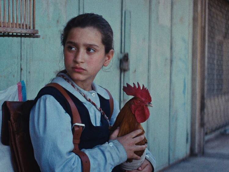 ‘O Bolo do Presidente’: a menina, o galo e o aniversário de Saddam Hussein