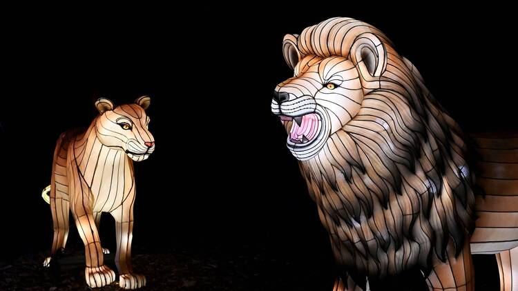 Illuminated animal figures at Glow Wild.