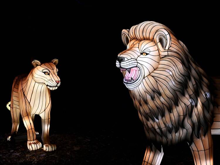 Glow Wild: A Lantern Festival of Hope