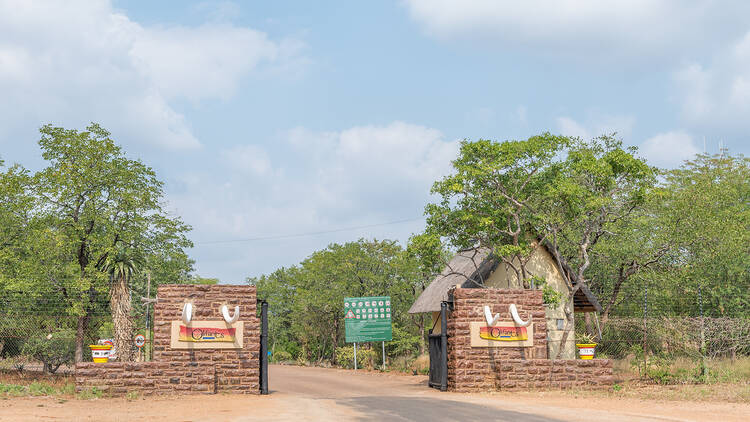 Kruger National Park, South Africa - May 7, 2019: Entrance to the Olifants Rest Camp. Elephant tusks are visible