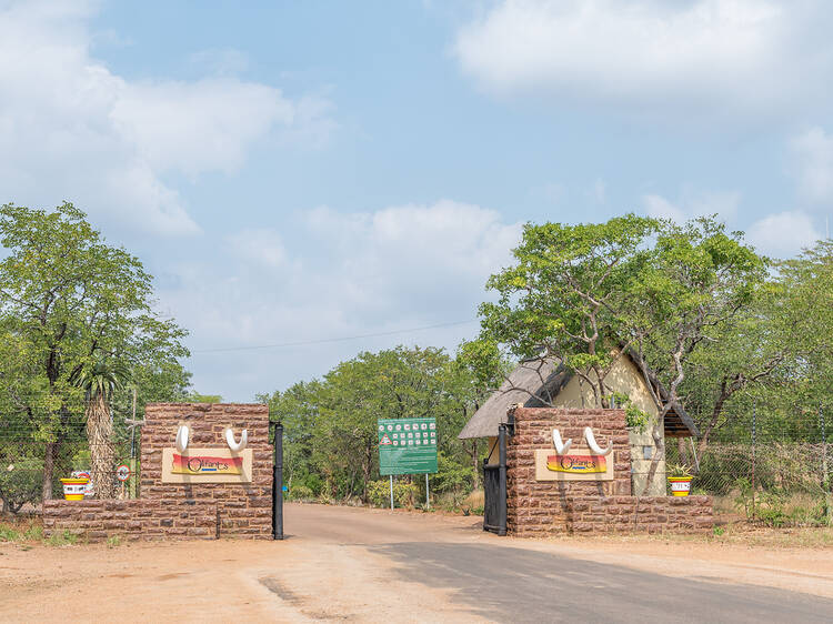 Watch: Kruger floods - Level 10 warning as crazy videos emerge