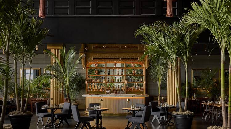 Gitano interior with checkered floors and palm trees