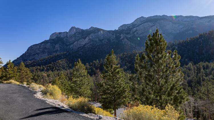 Lee Canyon in Mt. Charleston