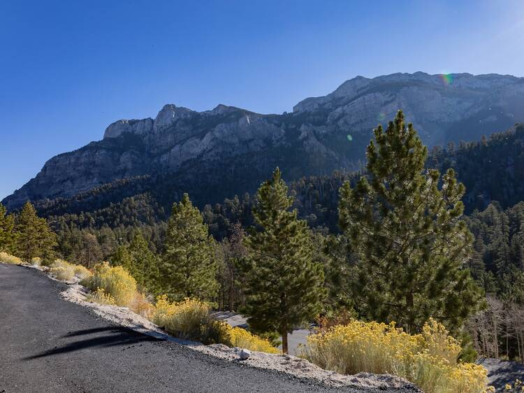 Lee Canyon in Mt. Charleston
