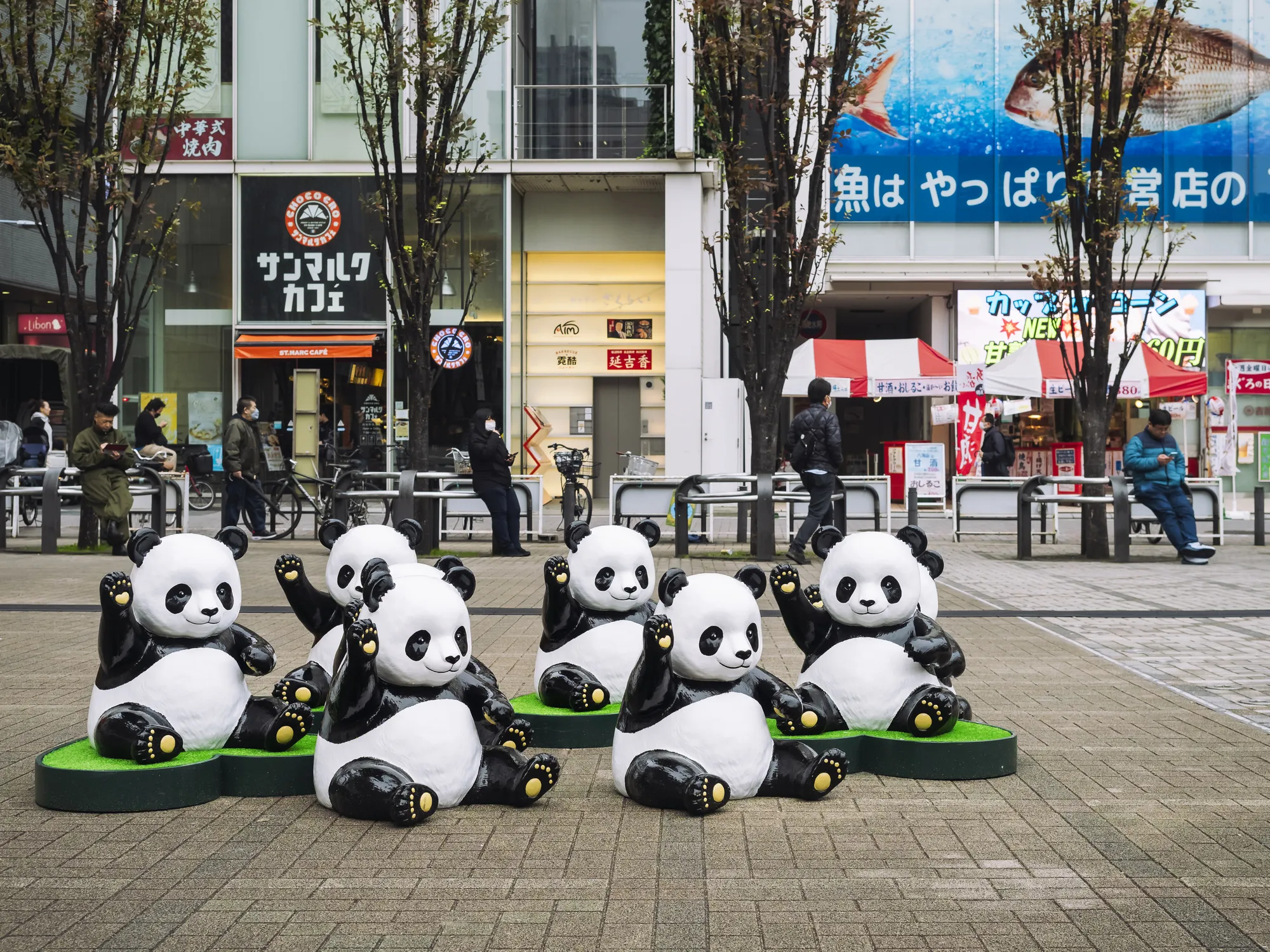 Japan to lose all of its pandas by the end of January