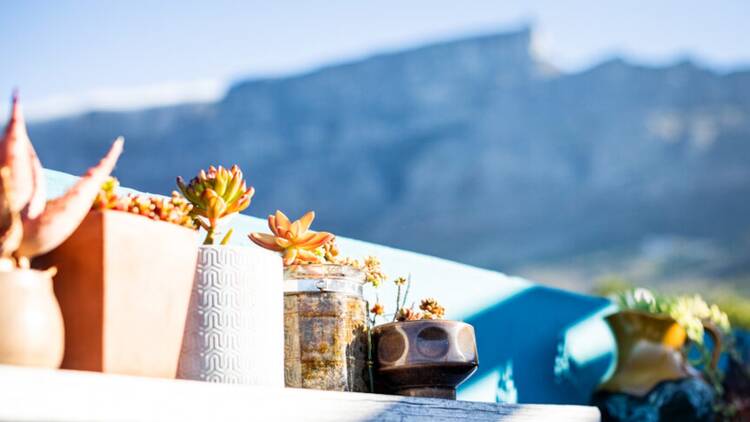 The Dark Horse The Dark Horse