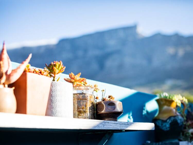 The Dark Horse The Dark Horse