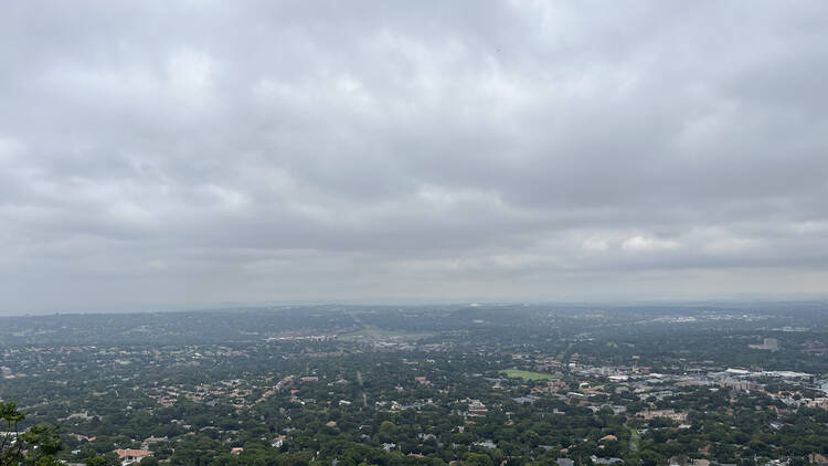 The view of Johannesburg from Northcliff Ridge Eco Park