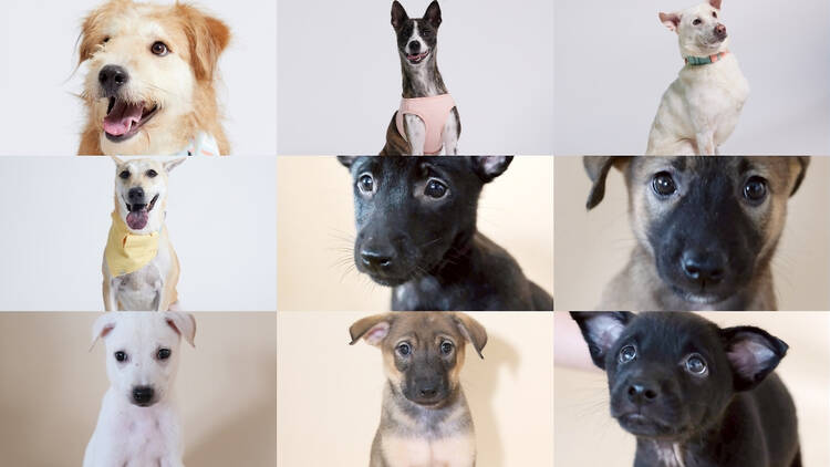 Bunthicha P. - Time Out Thailand